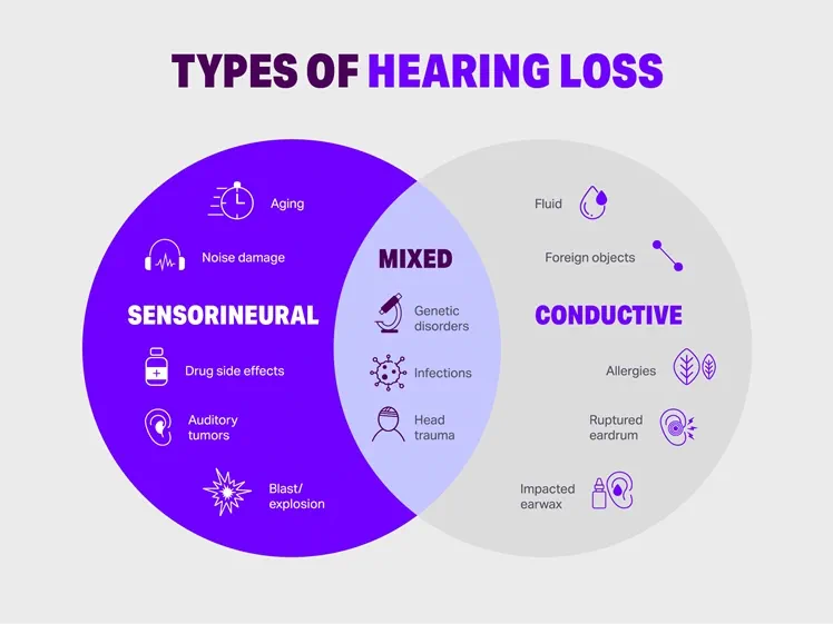 Types of hearing loss HearUSA
