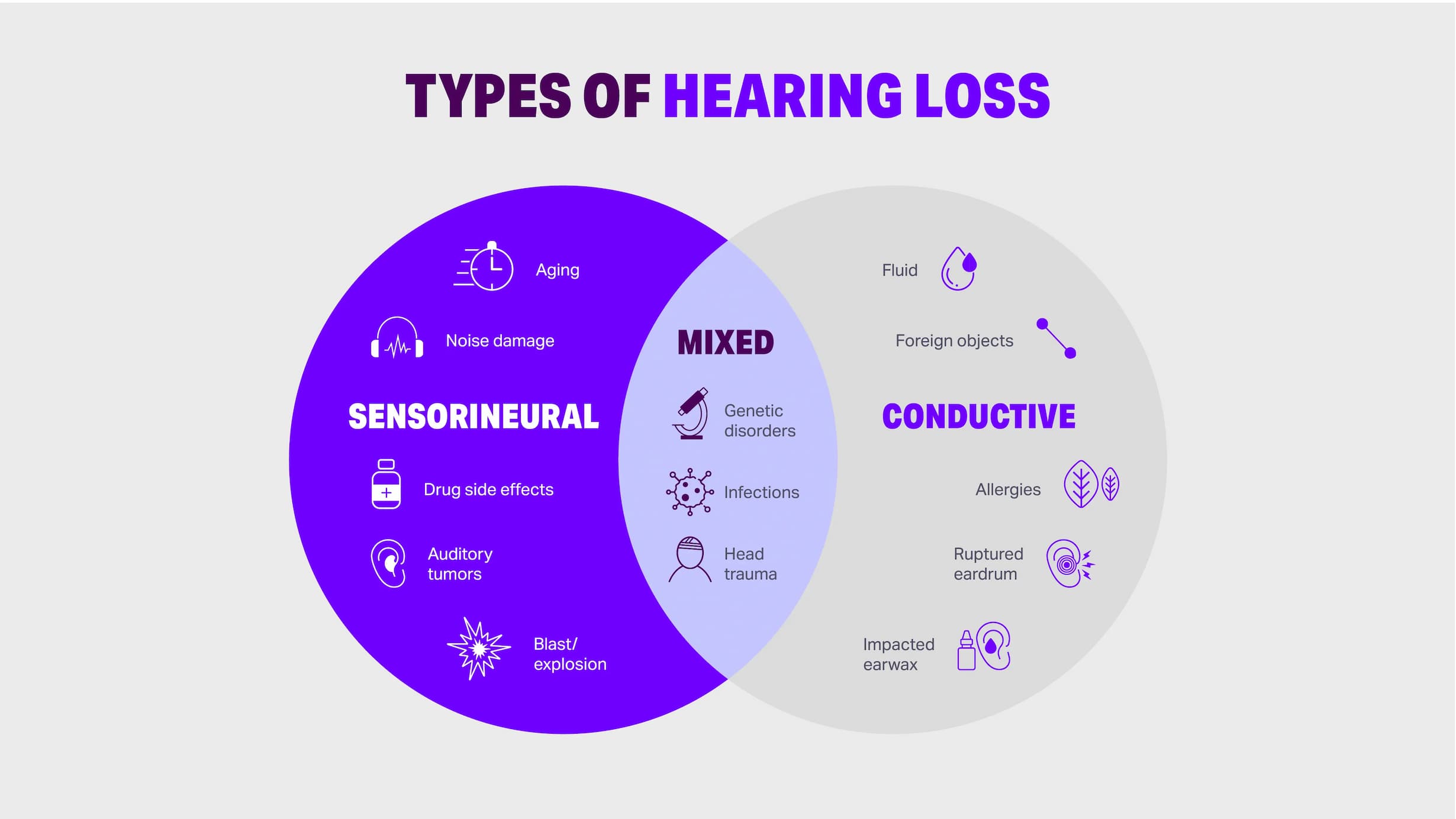 Types of hearing loss HearUSA