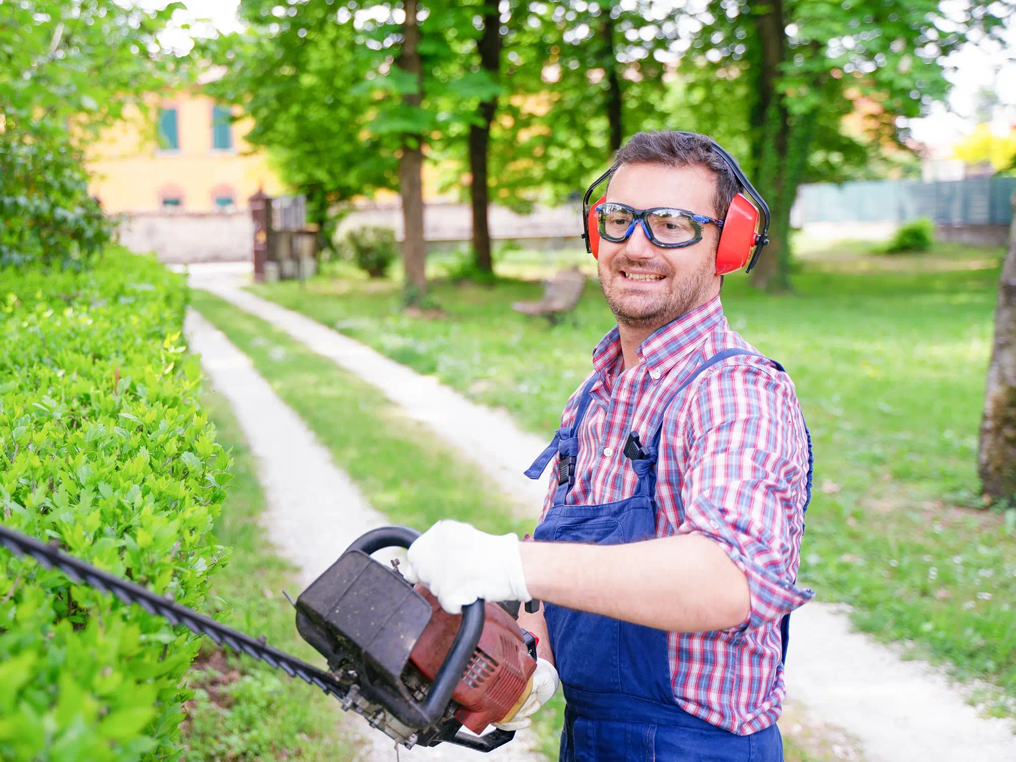 Protect you hearing when doing noisy work such as cutting your hedge to prevent hearing loss
